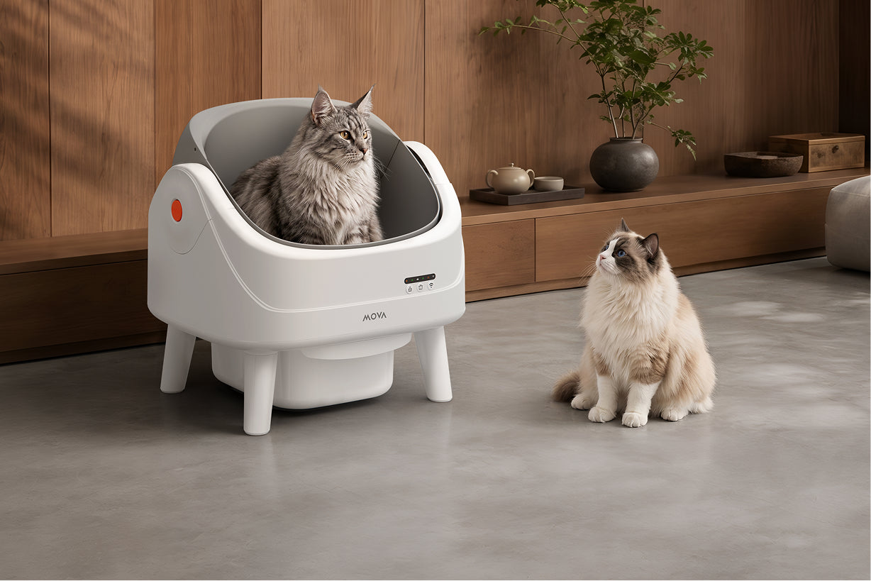 MOVA LB10 Air Self-Cleaning Litter Box All-Size Friendly Design