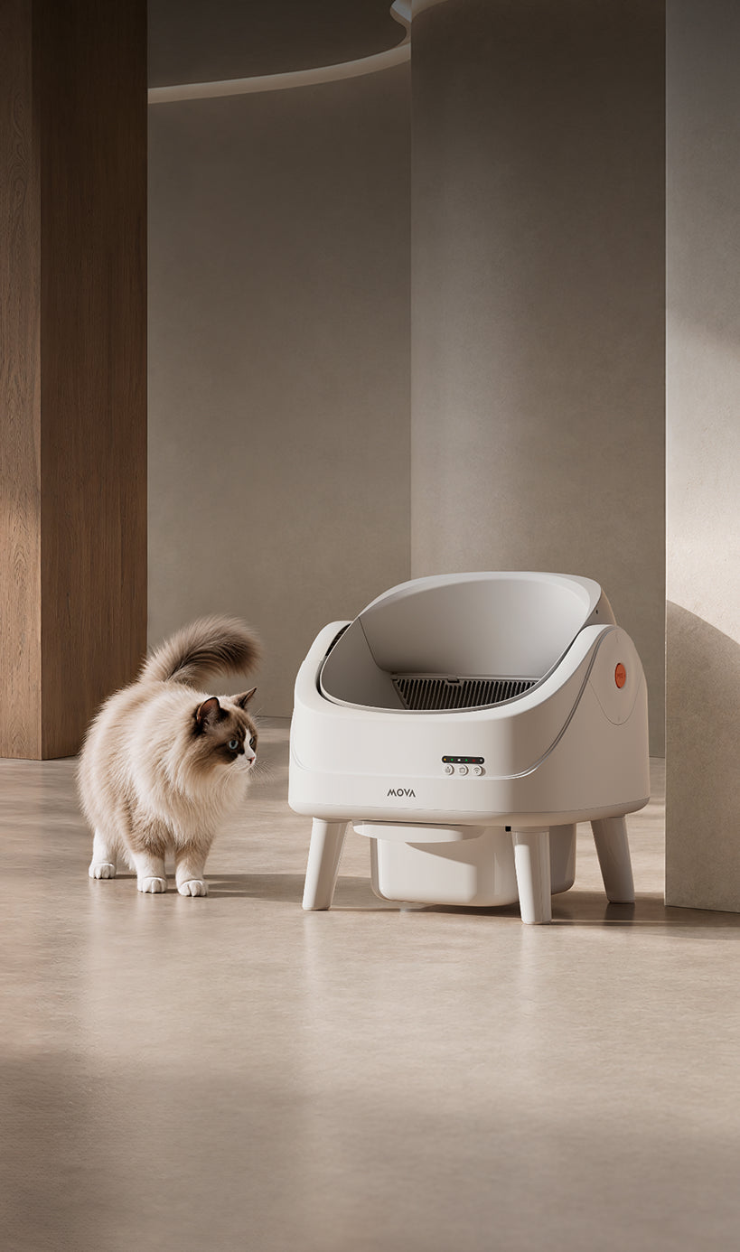 
                      

MOVA LB10 Air Self-Cleaning Litter Box LB10 Air

                    