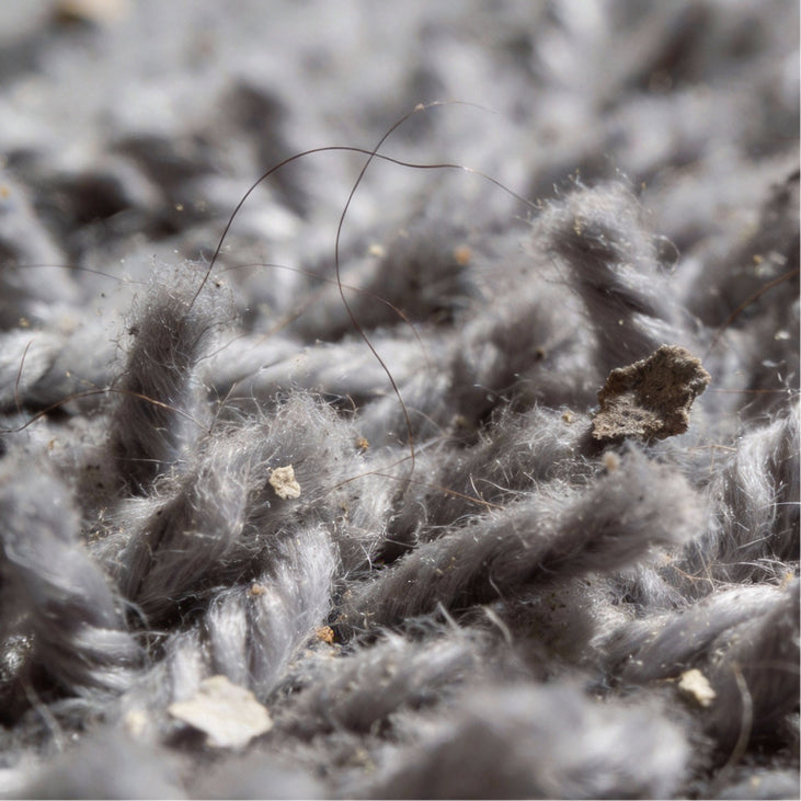 Buried Hair and Fur