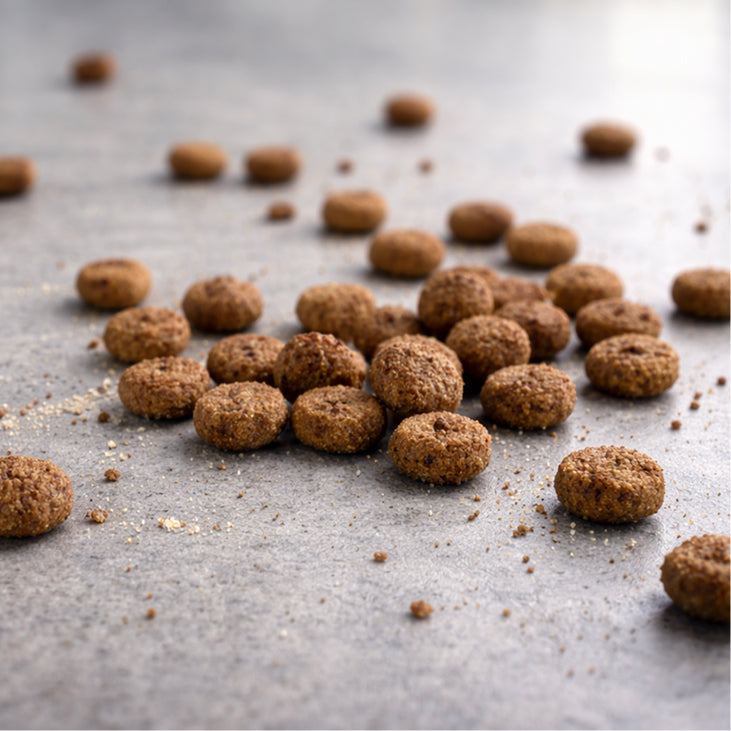 Pet Food