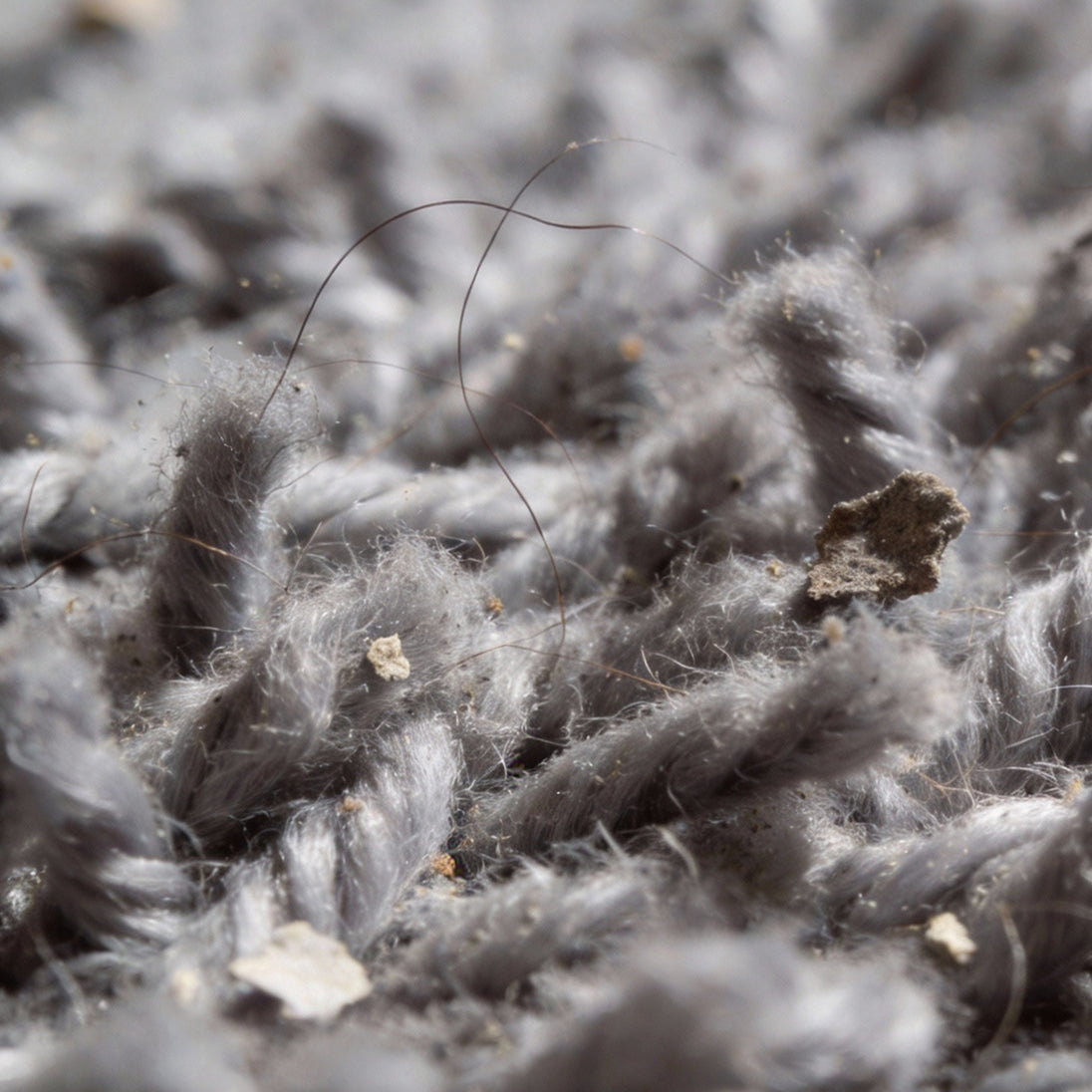 Buried Hair and Fur