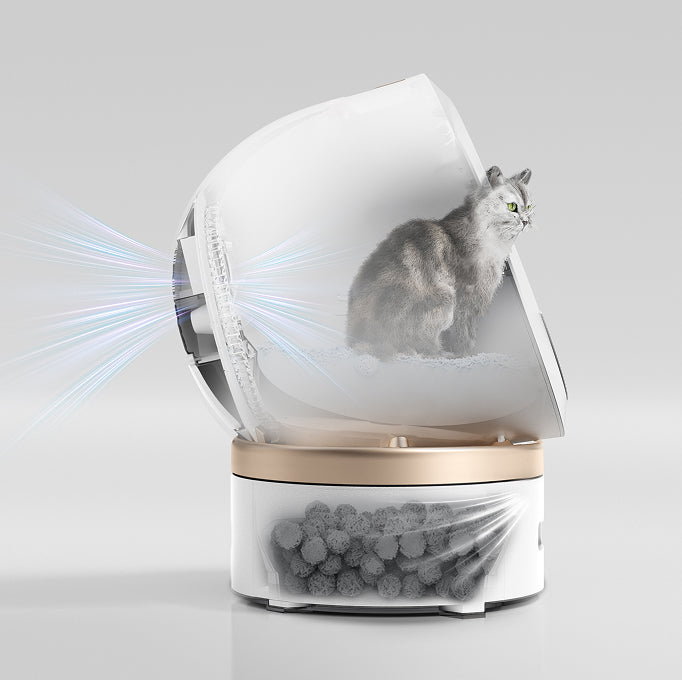 mova lr10 prime dual-chamber refreshing system