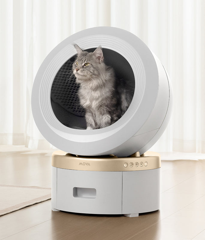 mova lr10 prime comfort scene