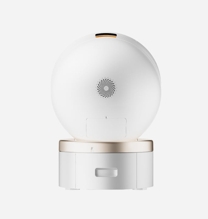 mova lr10 prime rear view