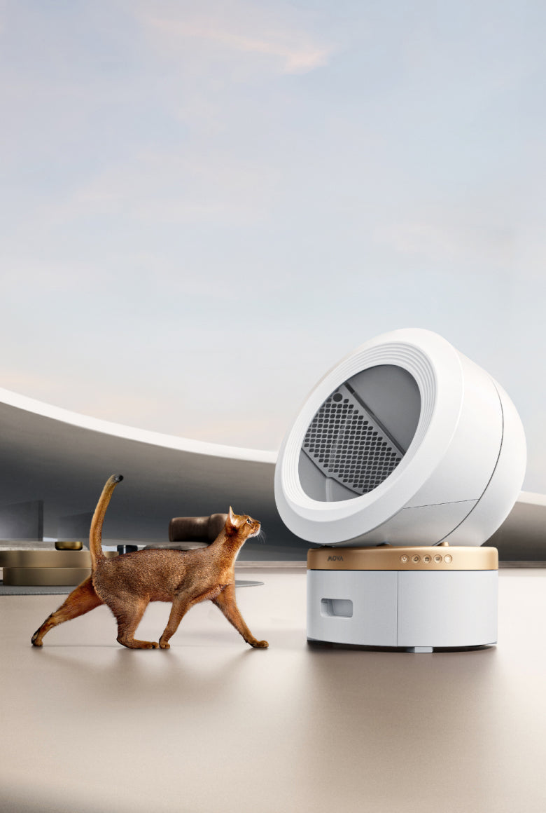 mova lr10 prime main image