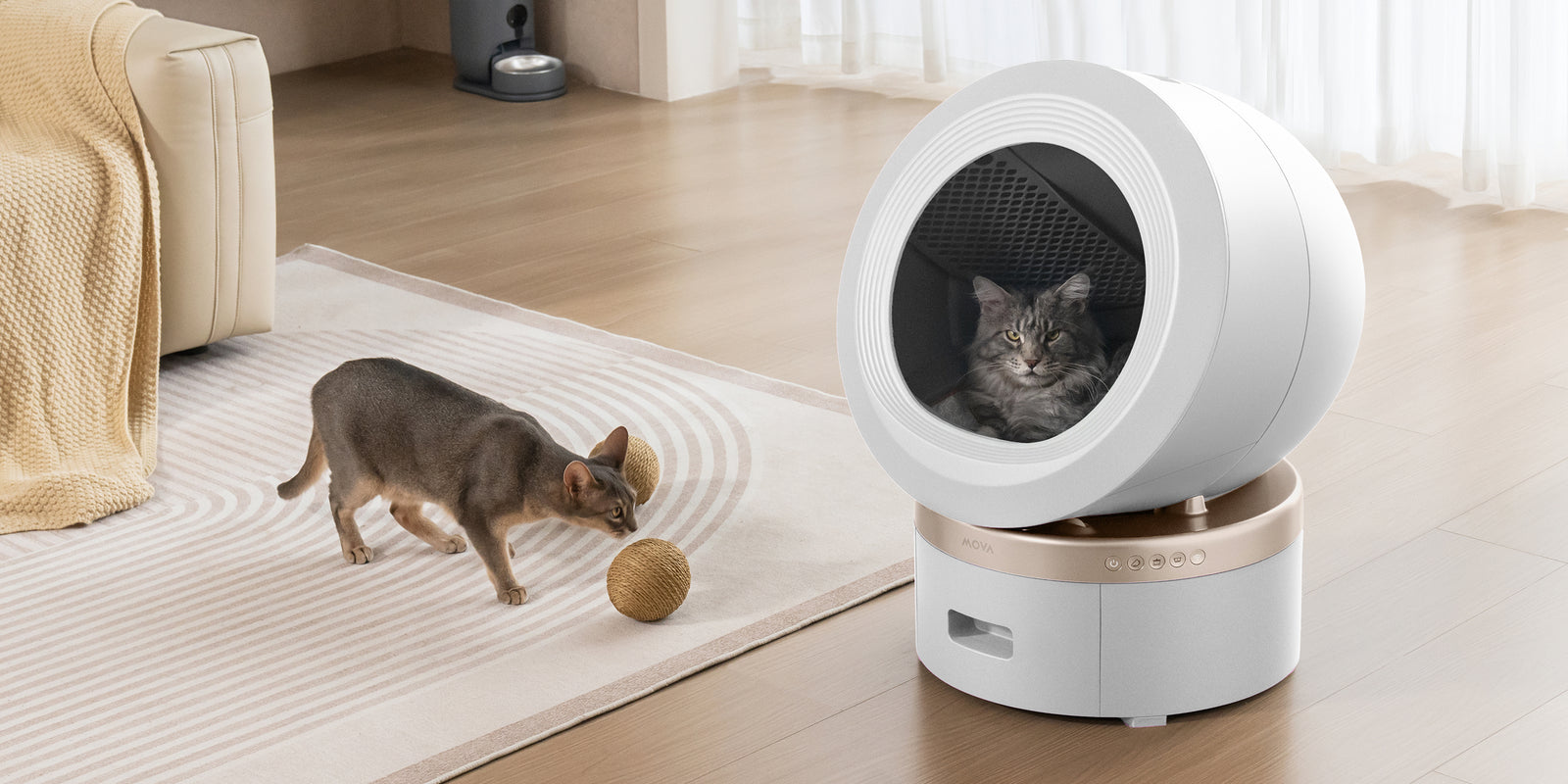 mova lr10 prime smart pet-care scene