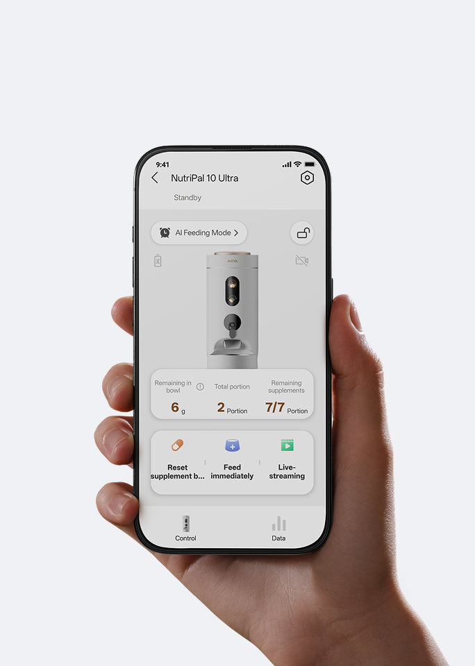 From App to Bowl Instantly