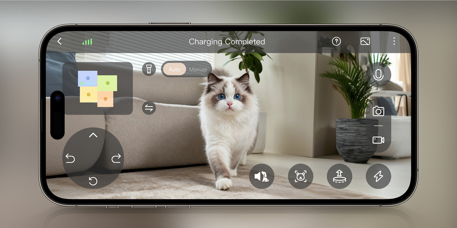 In-Depth Pet Care - 