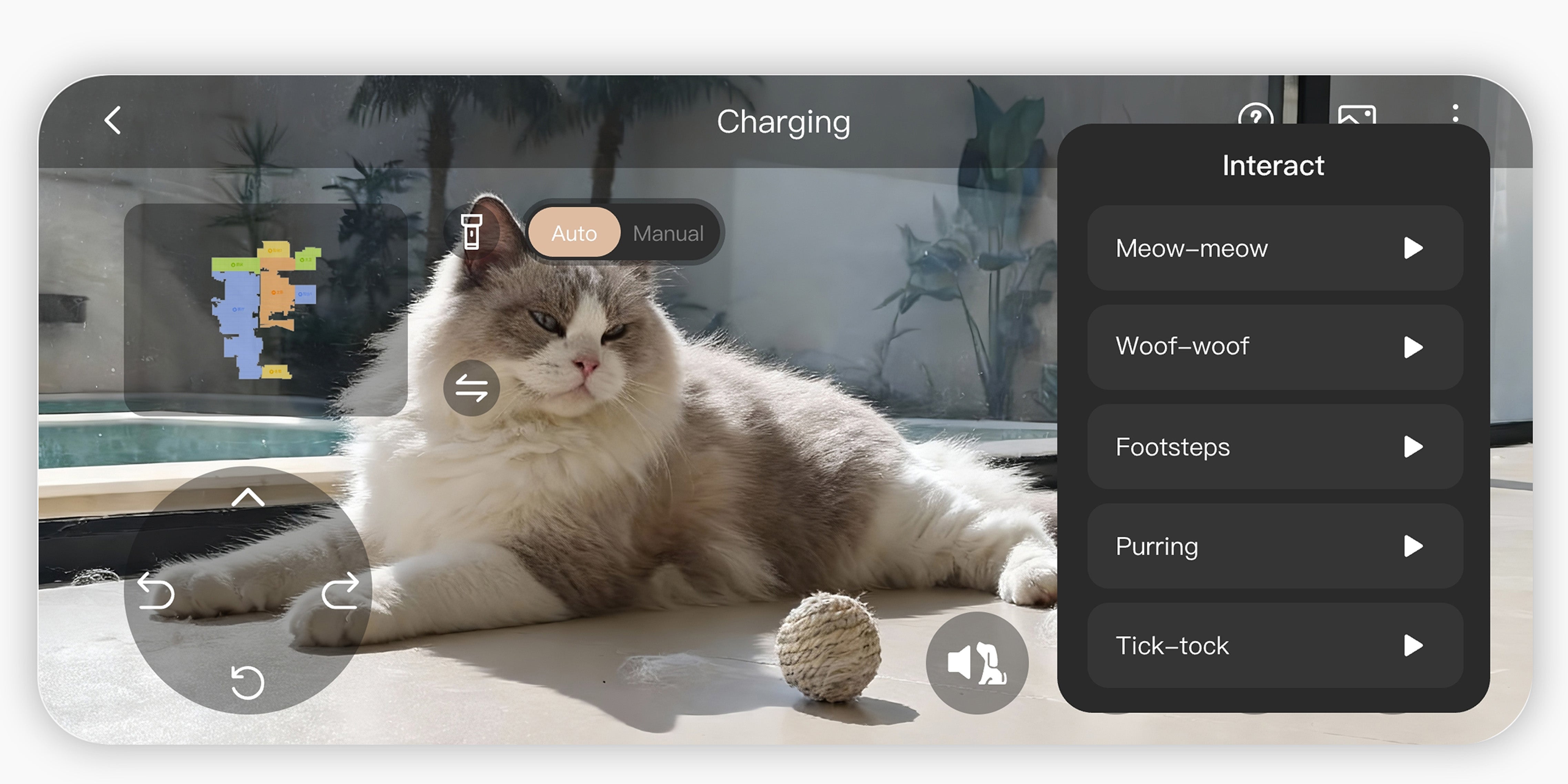 In-Depth Pet Care