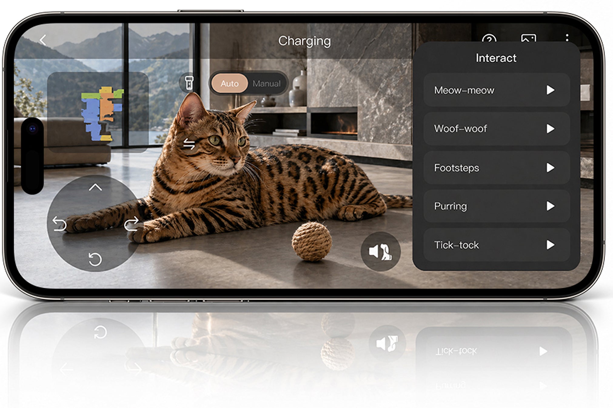 In-Depth Pet Care